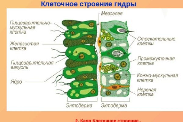 Kraken 14at